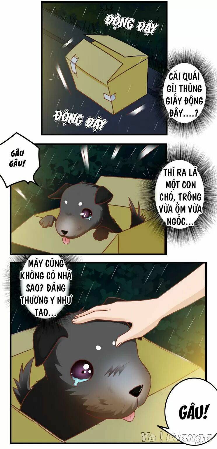 tôi là vợ tôi chapter 83 4