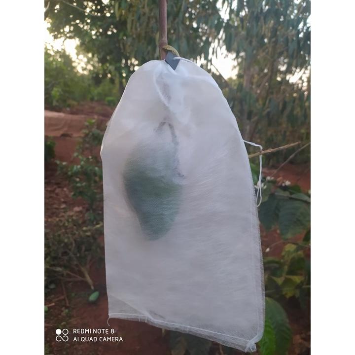 100 CÁI TÚI BAO,BỌC XOÀI ,NHO,CHÙM NHO, KHỔ QUA,BƠ 034...