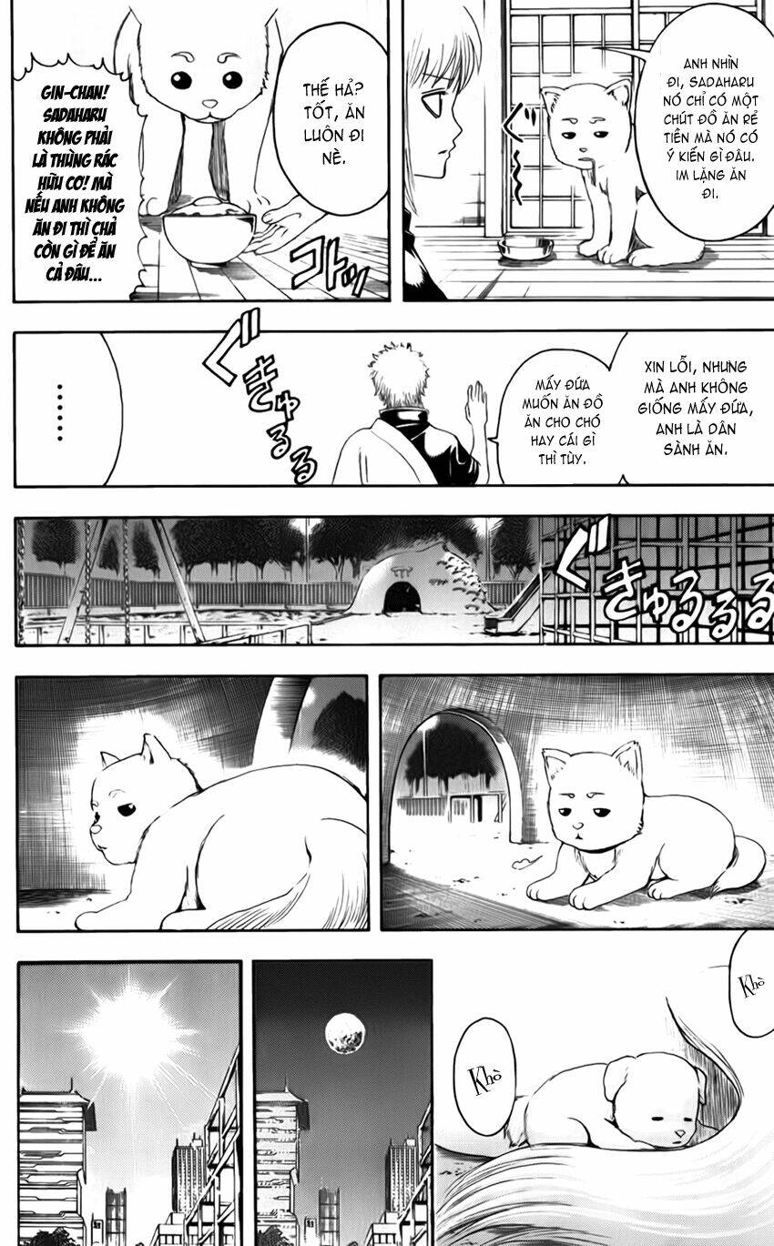 gintama - linh hồn bạc chapter 401 11