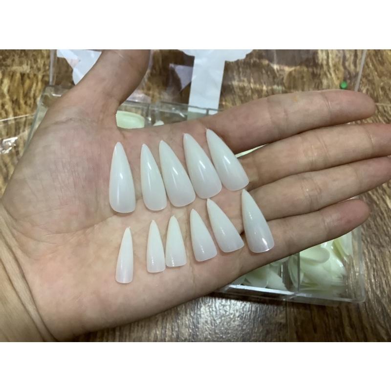 Móng giả fom nhọn màu đục hàng chuẩn