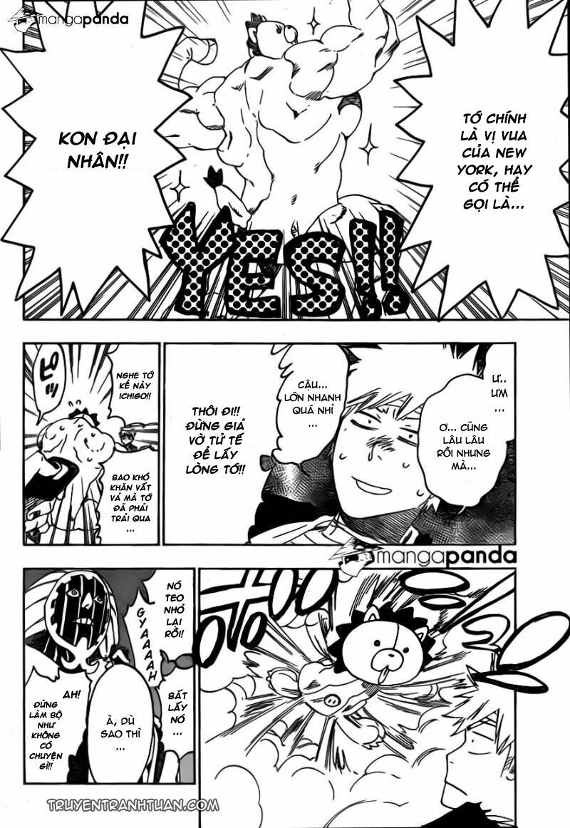 thần chết ichigo chapter 516 10