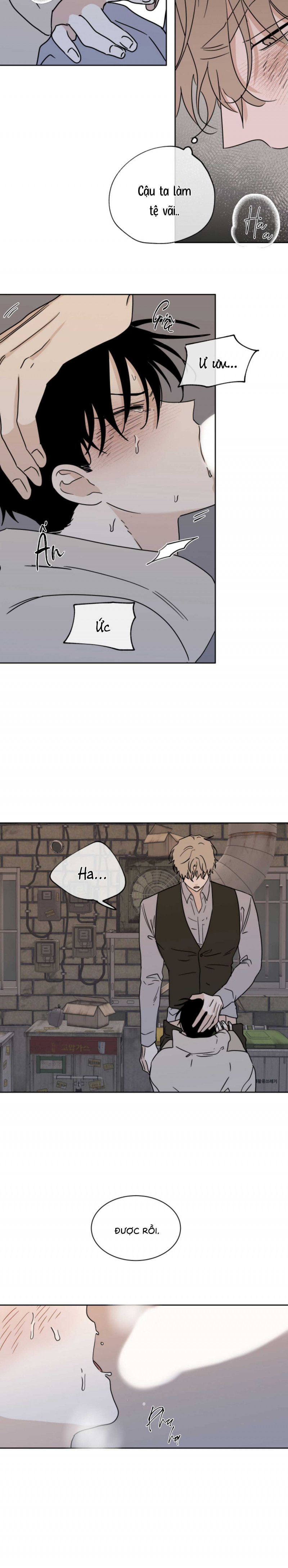 đêm bên bờ biển chapter 21 20