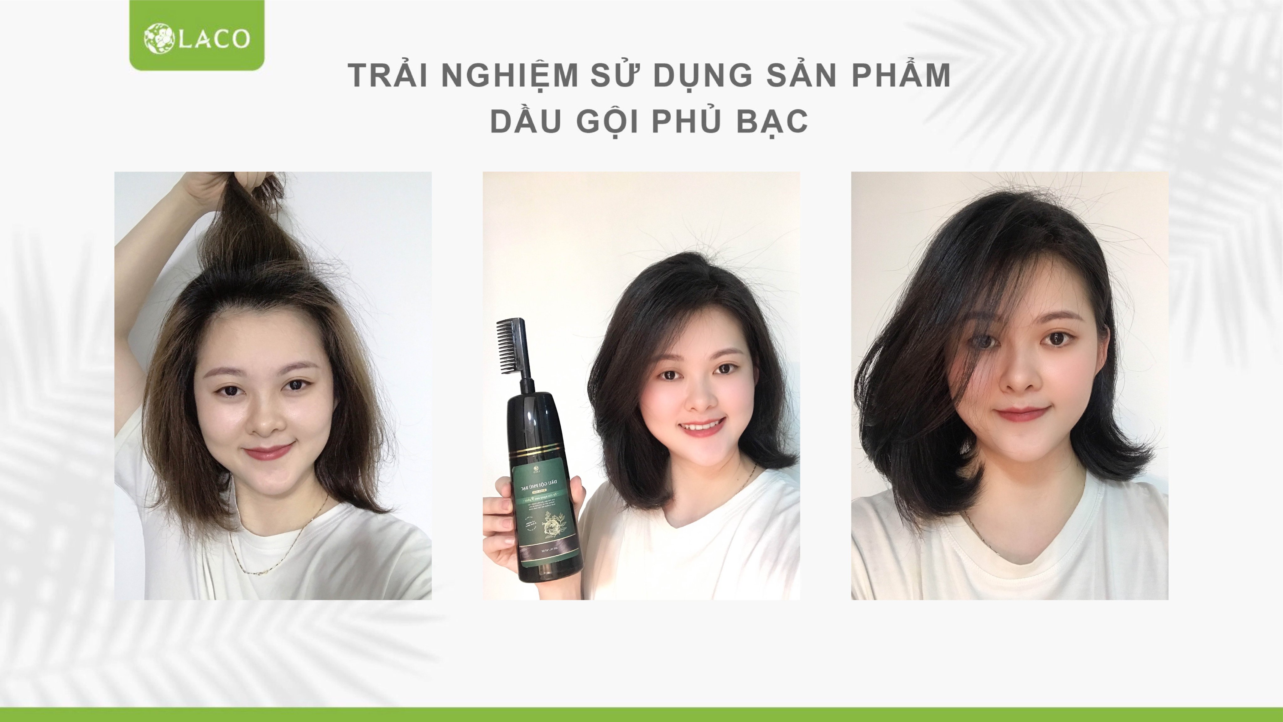 Dầu gội phủ bạc Laco review