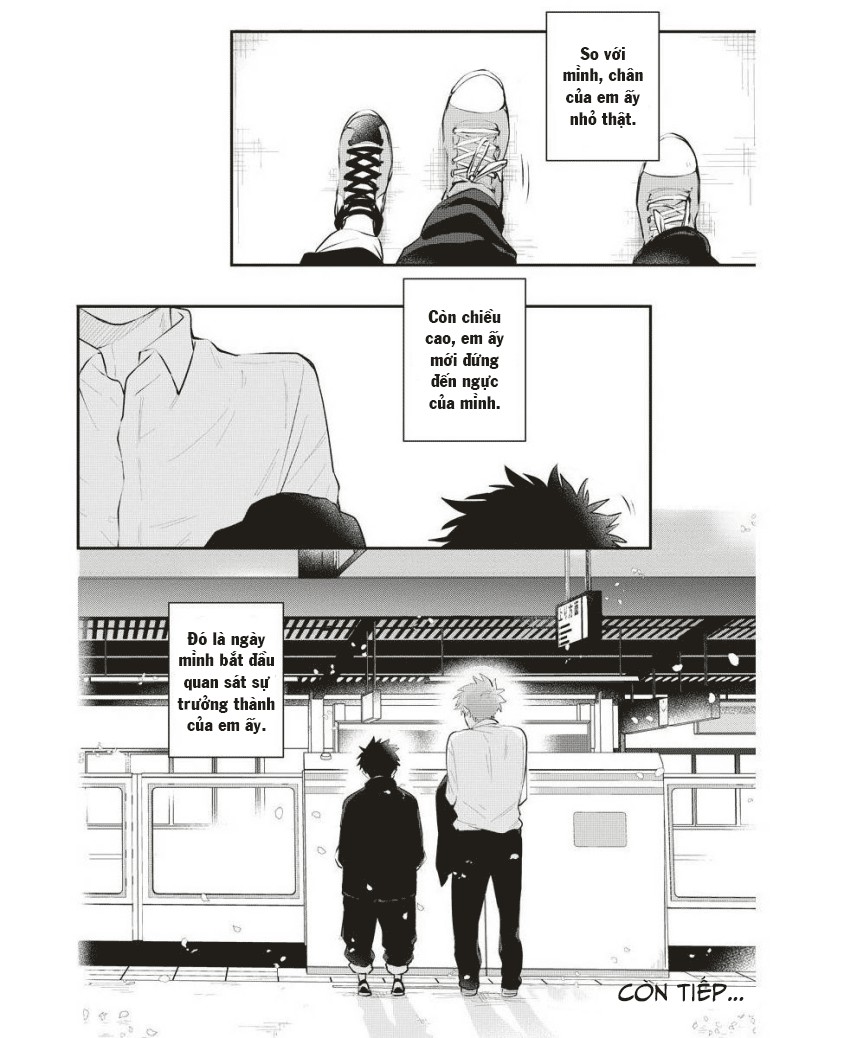 quan sát đầu xuân chapter 1 11