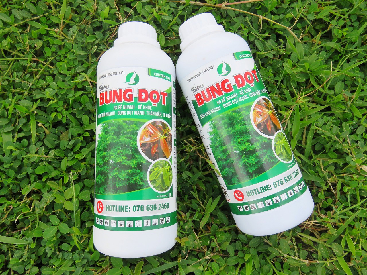PHÂN BÓN LÁ SIÊU BUNG ĐỌT CHO MAI, CÂY KIỂNG - SIÊU TIẾT KIỆM, SIÊU HIỆU QUẢ