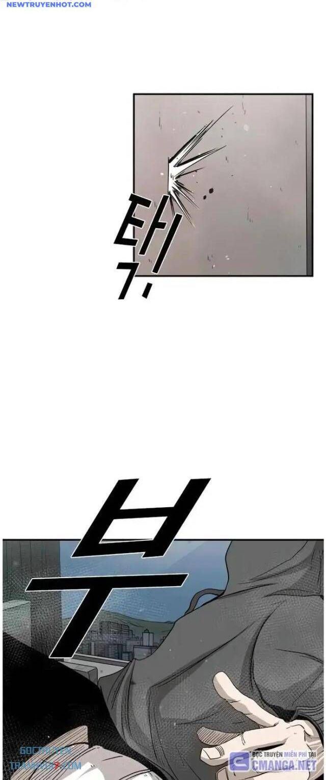 shark - cá mập chapter 91 26