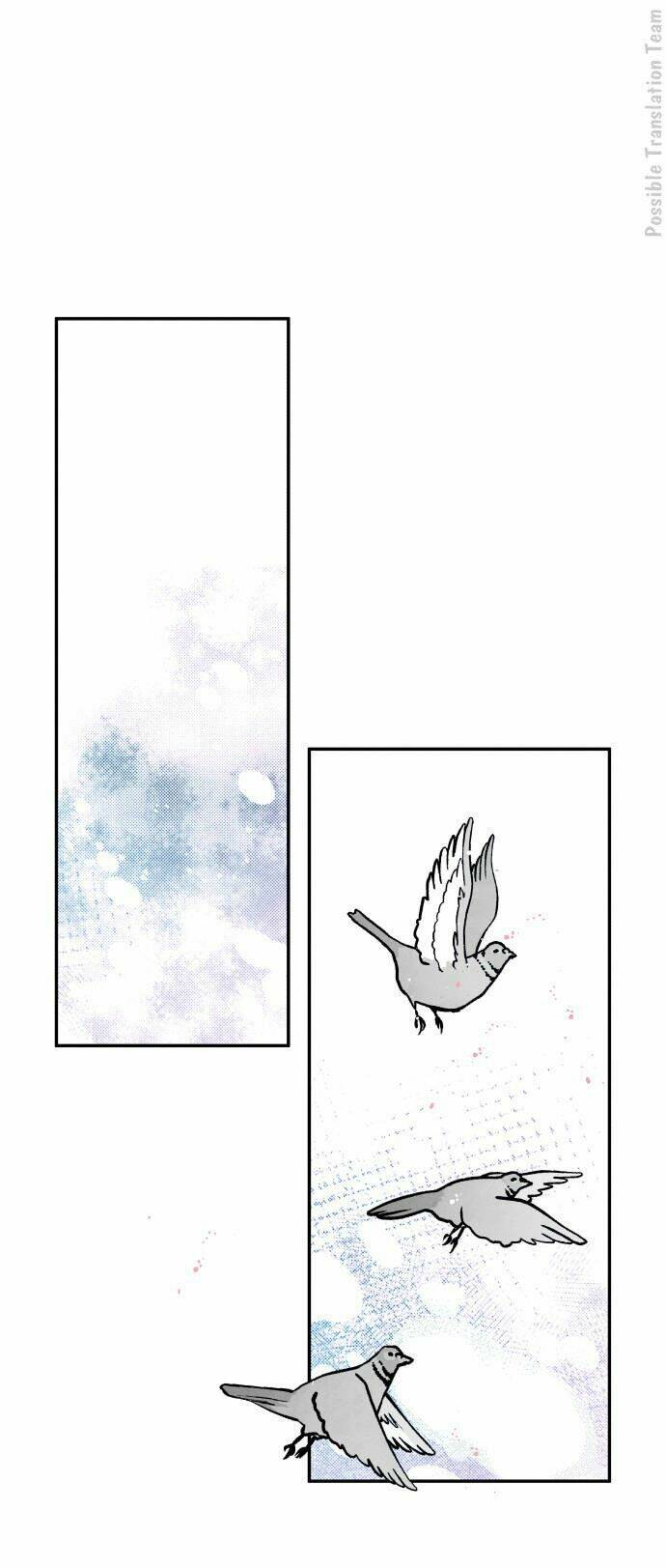 tai sói và mũ đỏ chapter 40 3