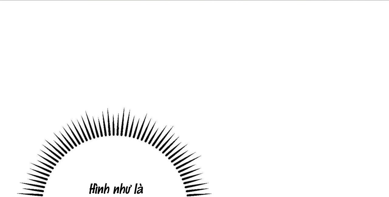 khu rừng tĩnh lặng chapter 9 23