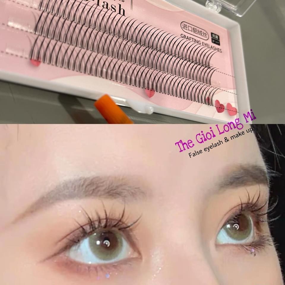 THẾ GIỚI LÔNG MI- CO-LASH LÔNG MI TỰ NỐI GRAFTING