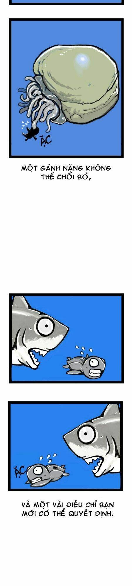 earth, human, and animal chapter 17 19