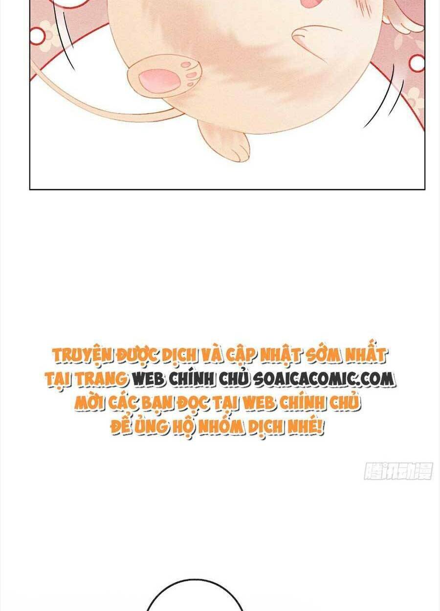 bắt đầu hủy hôn để công lược vương gia chapter 34 59