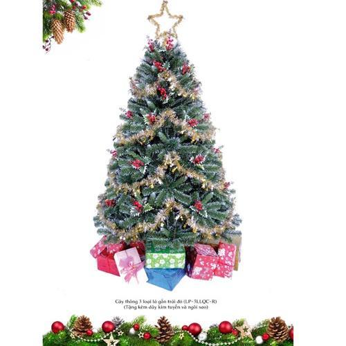 Cây thông noel 3 loại lá gắn trái đỏ cao 2m1 - Cây đẹp tán dày