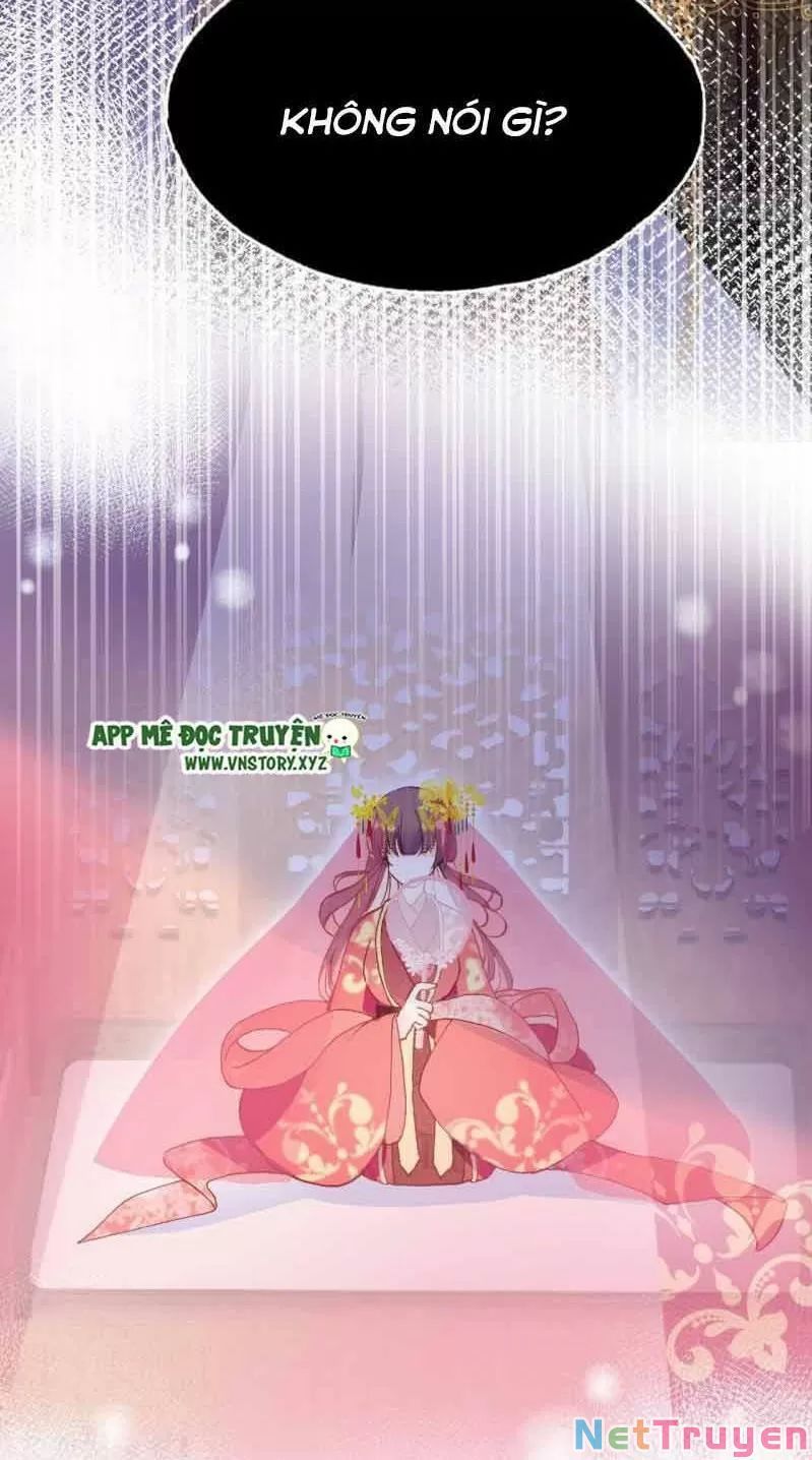 lại bị bệnh chiều chuộng quấn lấy chapter 2 5