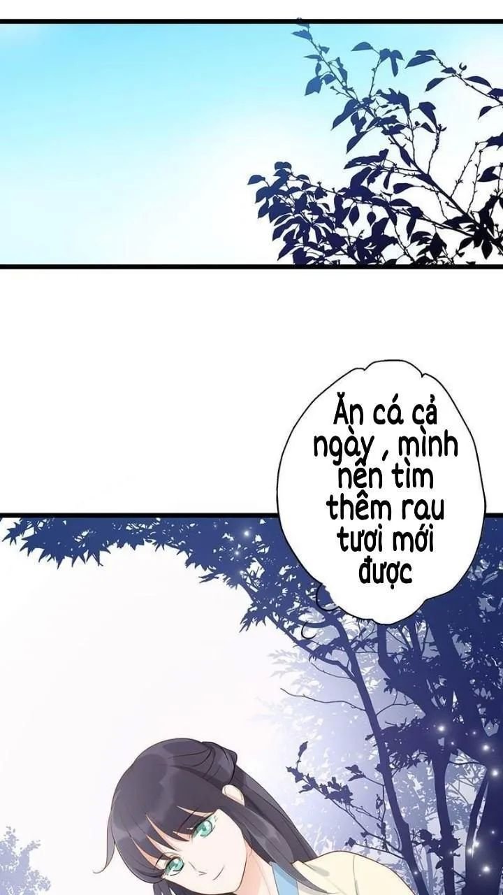 định mệnh giữa vị thần và tiểu cô nương chapter 12.1 7