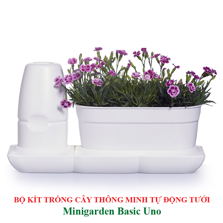 Vòng Phụ Kiện 5 Màu Color Ring Thay Thế Vòng Chậu Kit Trồng Cây Tự Dưỡng nhập khẩu Bồ Đào Nha Basic S và Basic UNO