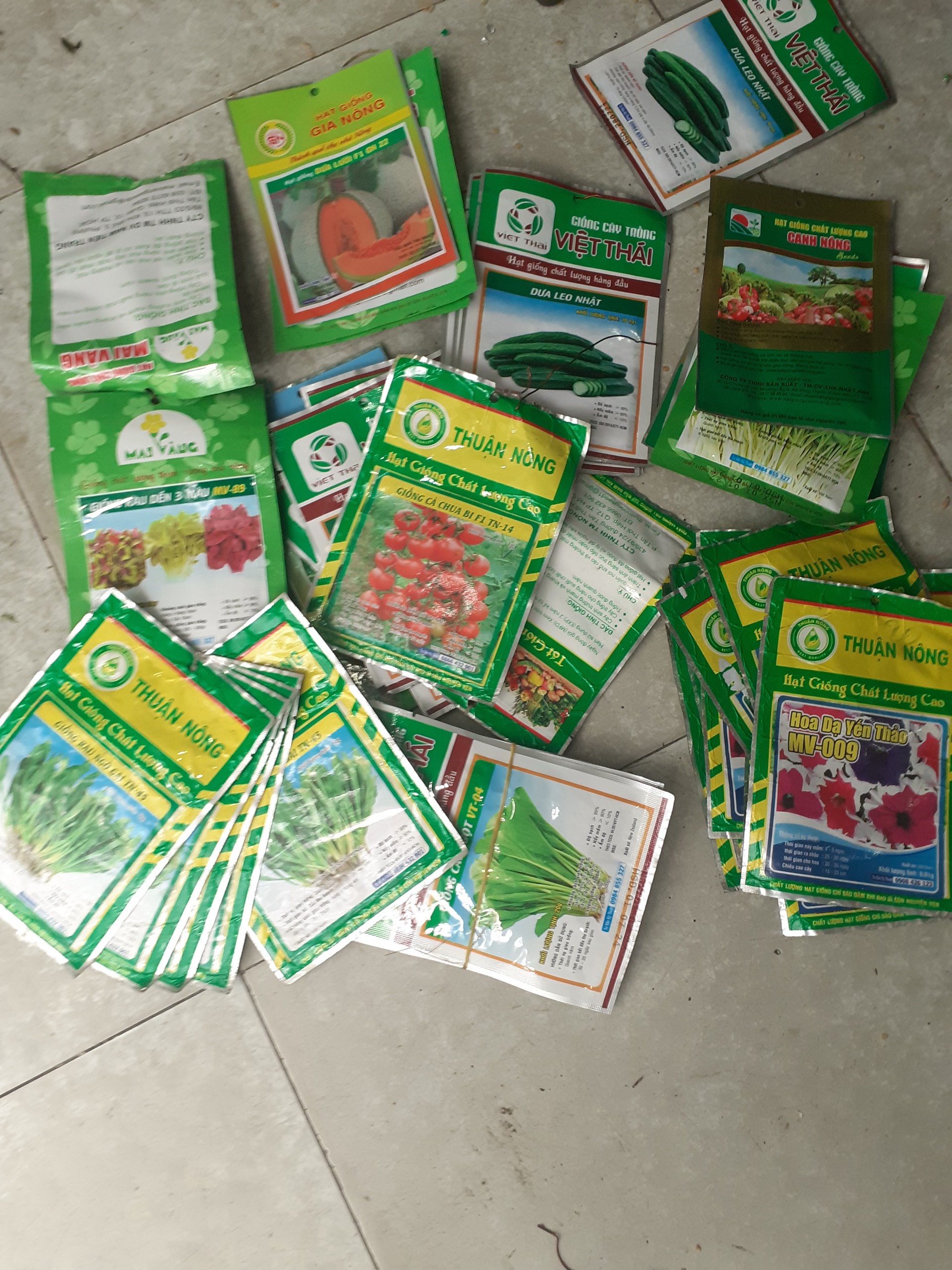 Combo 5 gói hạt giống Bầu sao f1 Trái dài