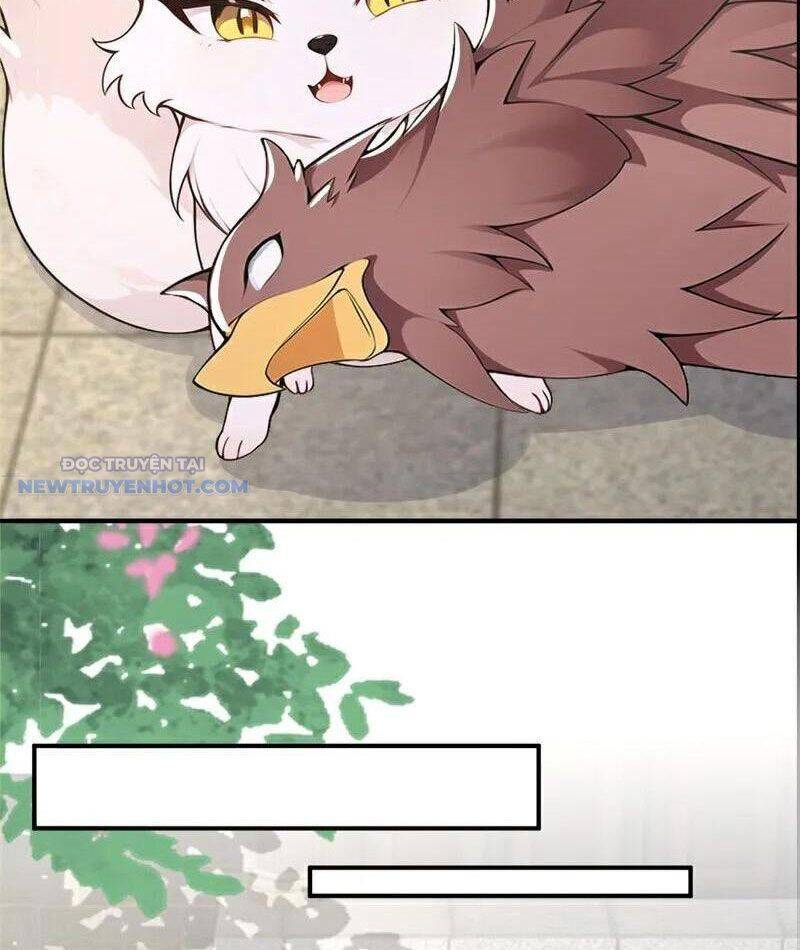 ta thực sự không muốn làm thần tiên chapter 108 28