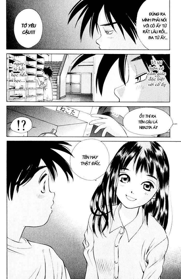 parallel chapter 19 9