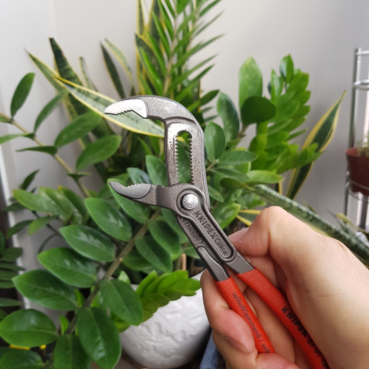 Kìm Nước Cobra KNIPEX - 87 01 180