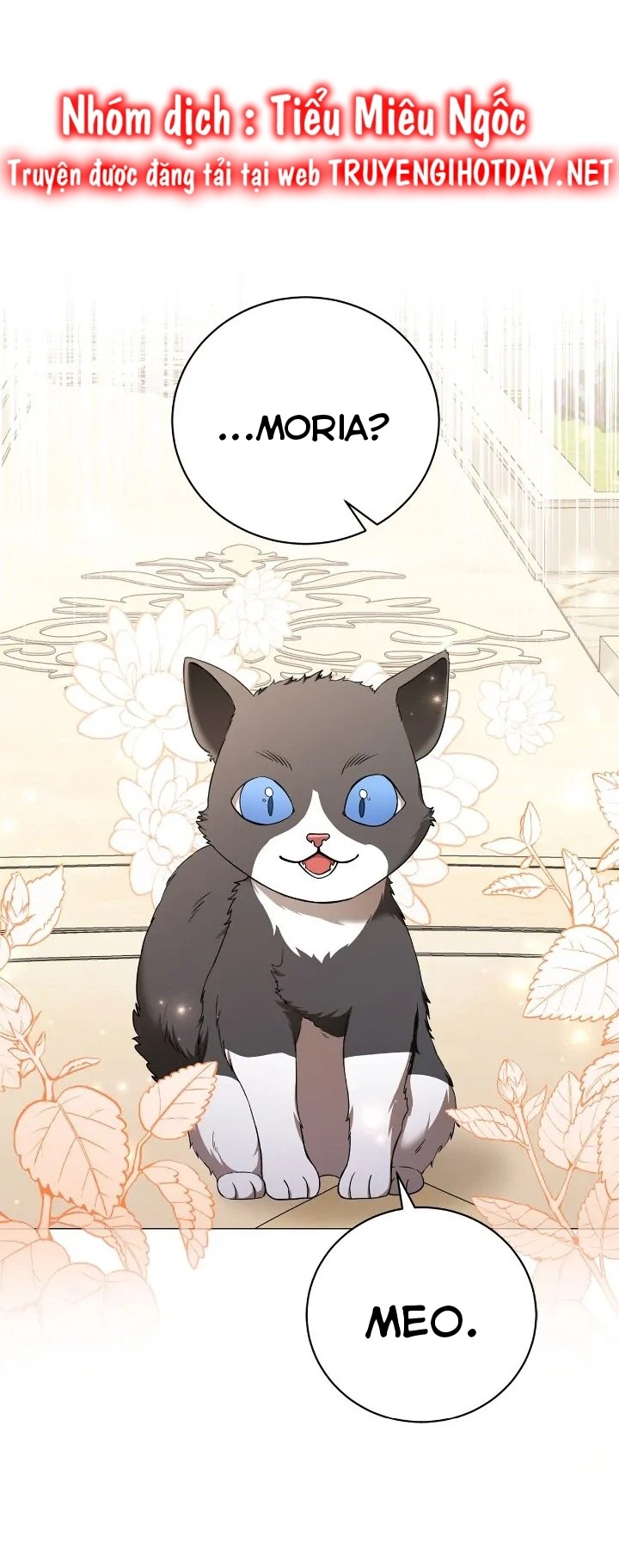 tình yêu đó chưa hề tồn tại chapter 56 39