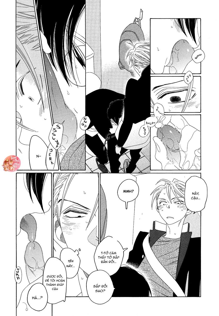 oneshot bl từ nhiều tác giả - mlèo dịch chapter 125 17