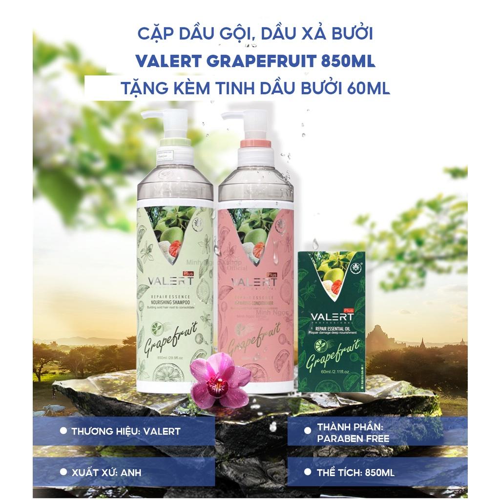 Dầu gội xả bưởi chống rụng kích thích mọc tóc VALERT GRAPEFRUIT 850ml tặng dầu dưỡng 60ml