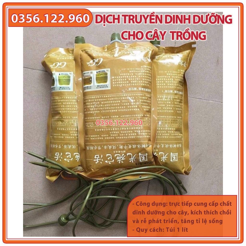 Combo 3 túi Dịch truyền dinh dưỡng cho cây trồng công trình  - dùng cho cây cảnh, cây công