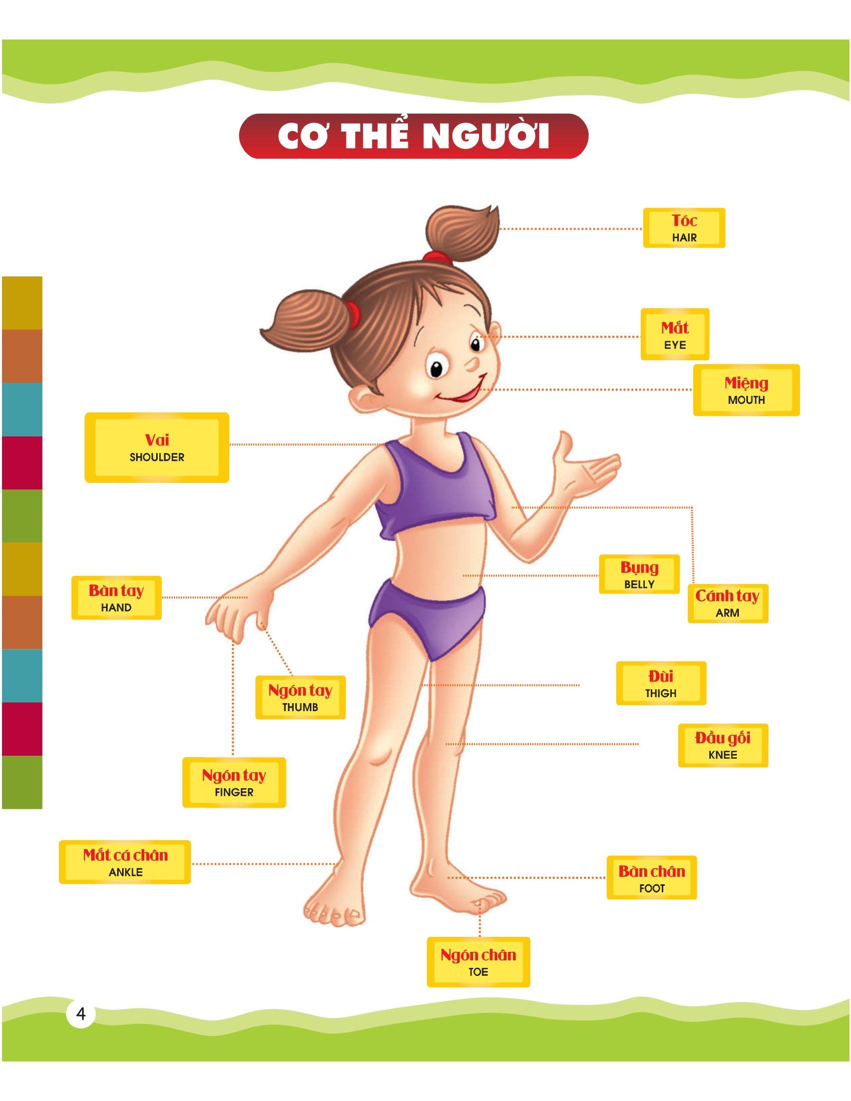 Từ Điển Bằng Hình Của Tôi - Em Thích Miêu Tả (Dành Cho Trẻ 4-6 Tuổi) (Bìa Mềm)