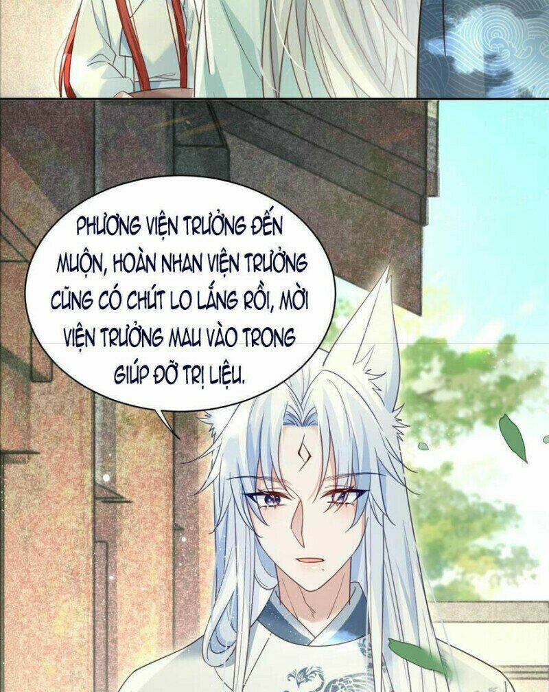 hắc hóa nam chính trực tuyến nuôi thỏ chapter 66 15