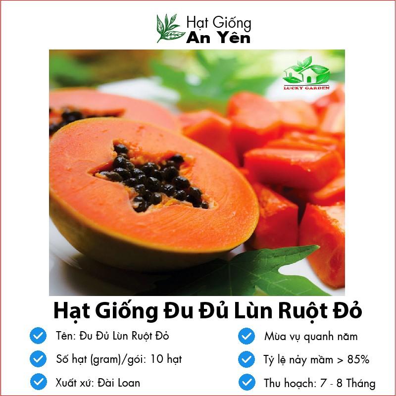 Hạt giống Đu Đủ Lùn Ruột Đỏ thu hoạch sớm, dễ trồng, nảy mầm cao, sinh trưởng khoẻ