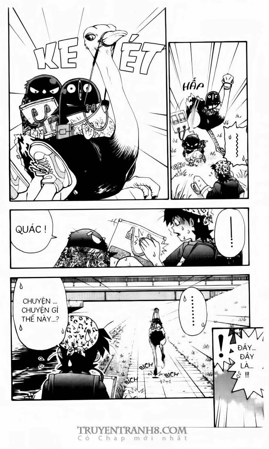 chim cánh cụt ginji chapter 90 20