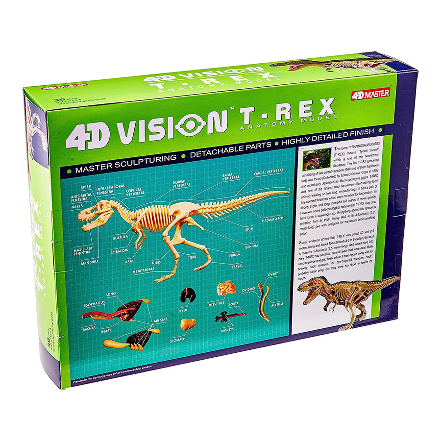 Đồ Chơi Mô Hình Giải Phẫu 4D - Khủng Long T-Rex 4D Master 622013