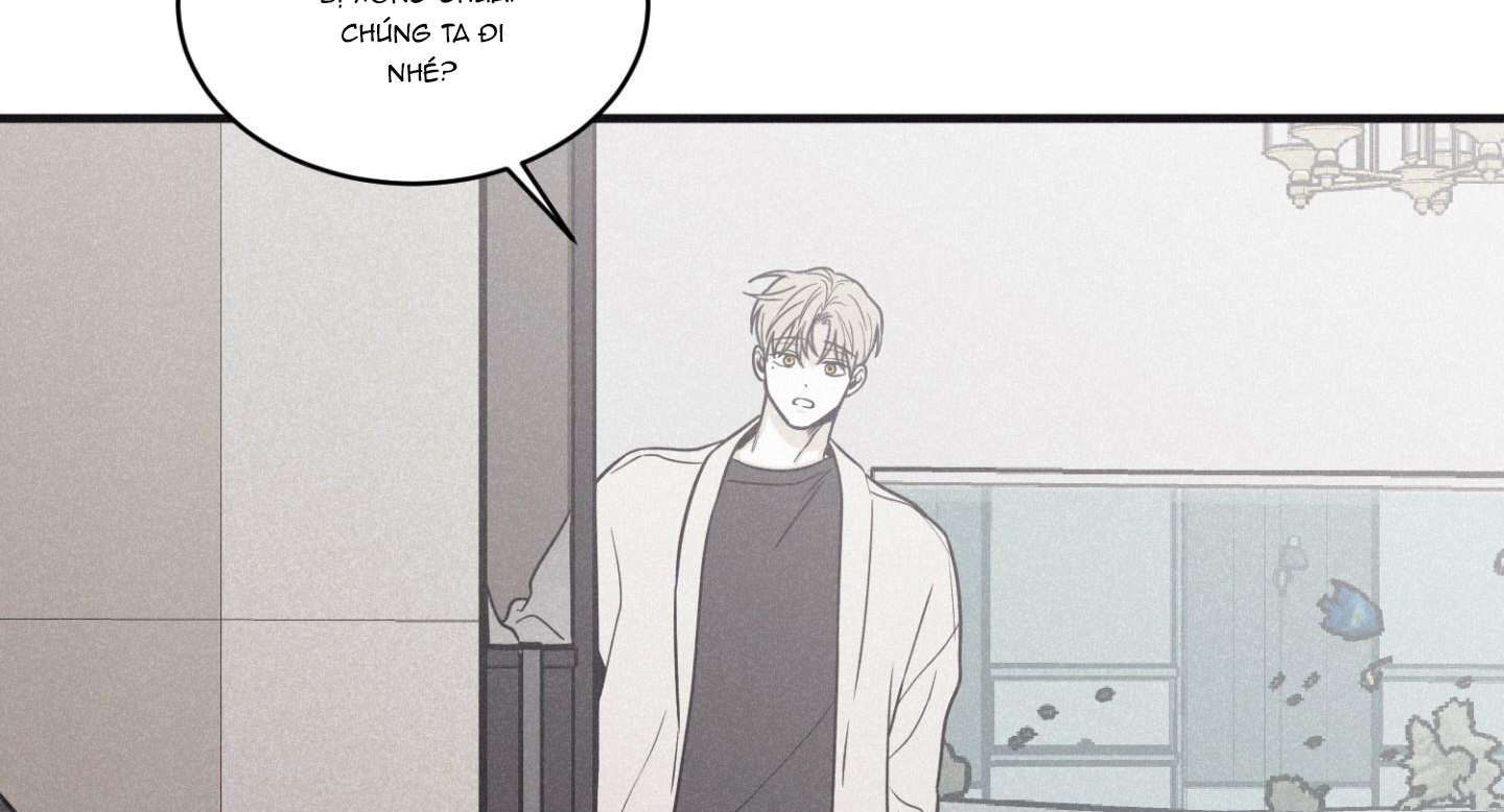 chiếu tướng chapter 81 35