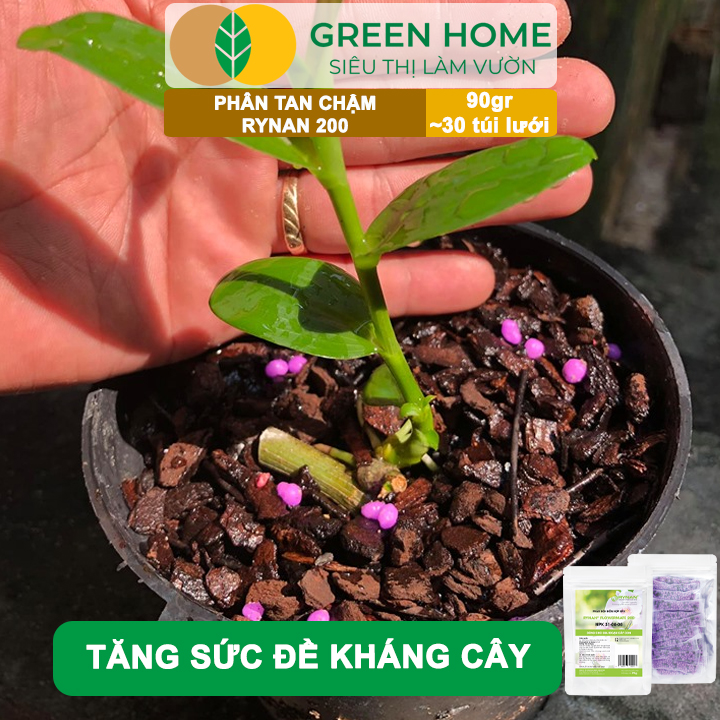 Phân Tan Chậm GreenHome, Rynan 200, Bao 90gr ~ 30 Túi Lưới 3gr, Dành Cho Giai Đoạn Phong Lan Cây Con