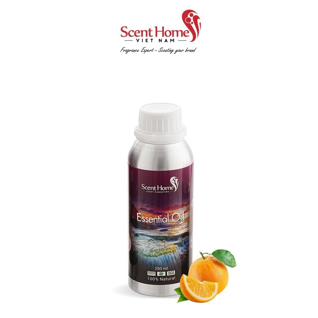 Tinh dầu Scent Homes - mùi hương