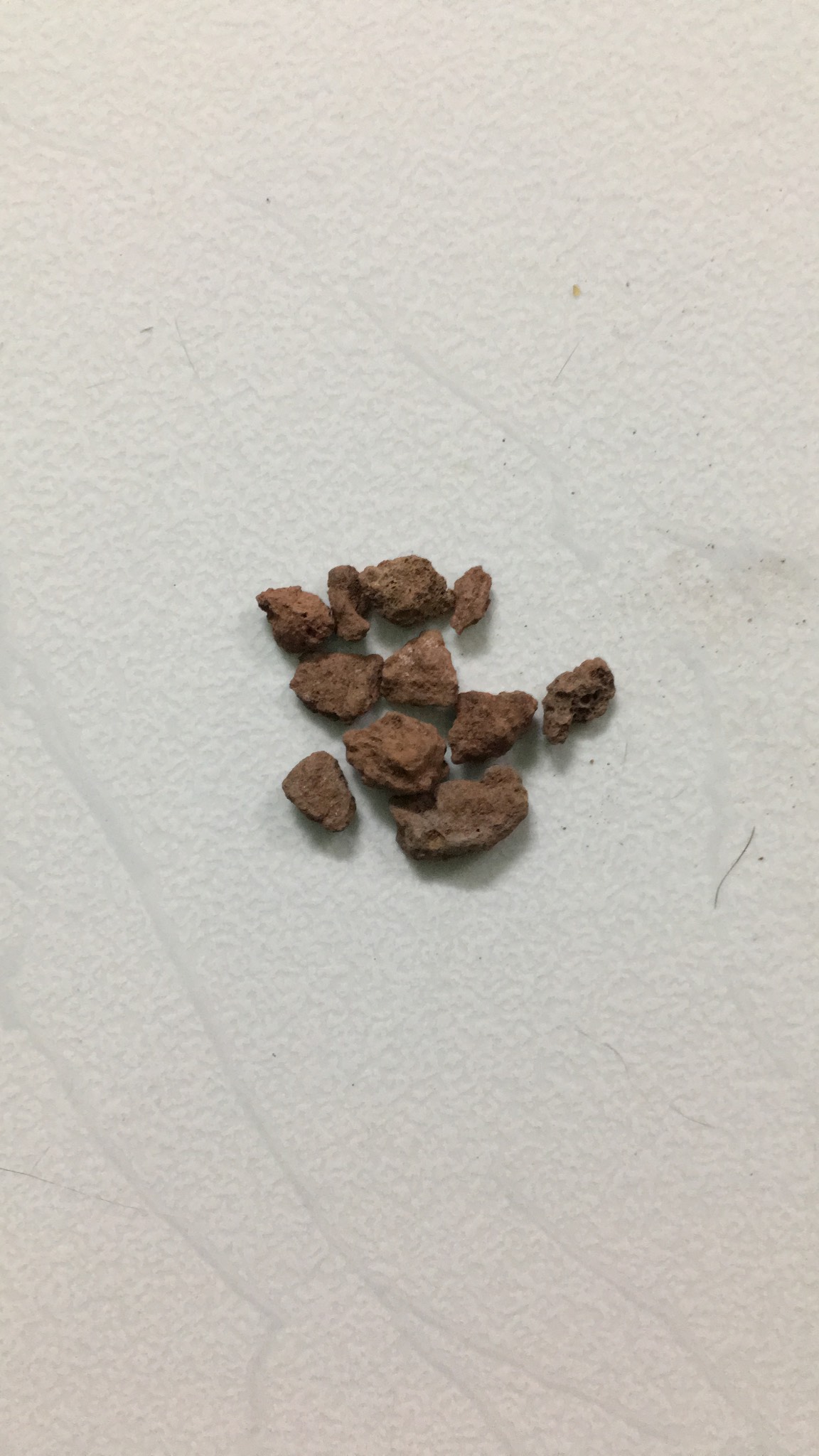 Giá thể sương rồng kiểng lá hồ thủy sinh đá nham thạch 1kg