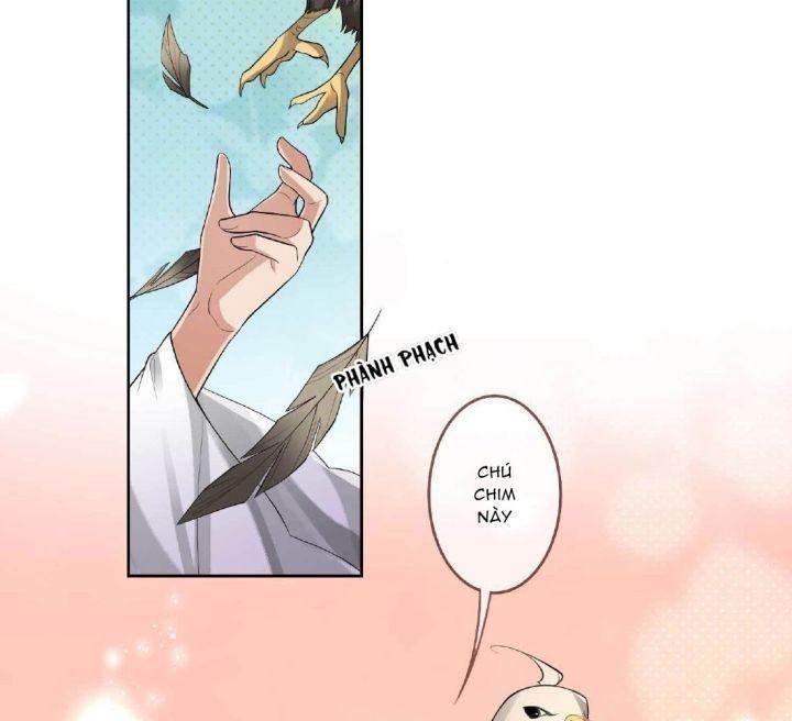 lấy thiên hạ làm sính lễ: vương phi lại trêu ta chapter 3 42