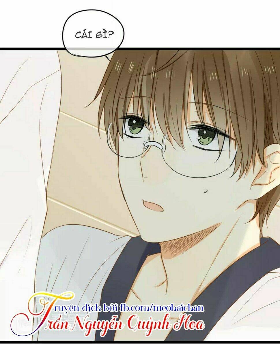 điều giáo quan hệ chapter 13 27