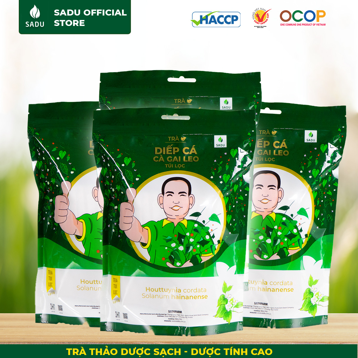 1kg Trà diếp cá cà gai leo Sadu