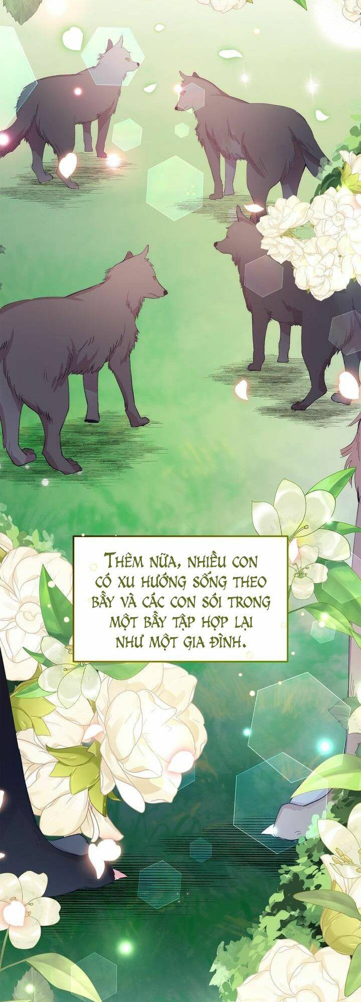 cách để trao vương miện cho vị hoàng tử hoang dã của tôi chapter 11 12