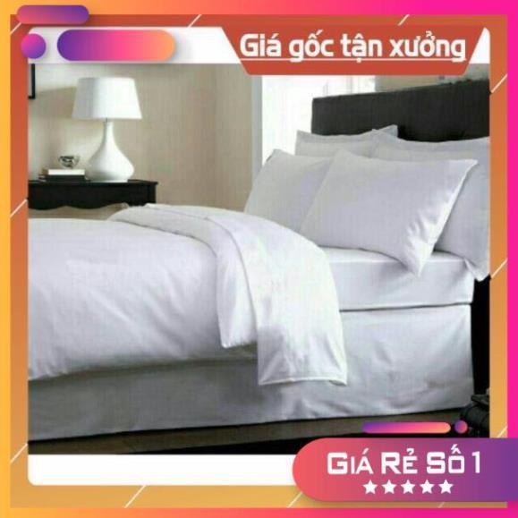 Bộ Drap cotton trắng trơn 1m/2/4/6/8