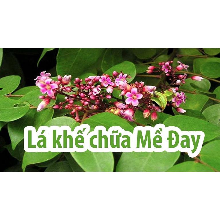 1kg lá khế chua tươi sạch , cắt từ cây nhà trồng