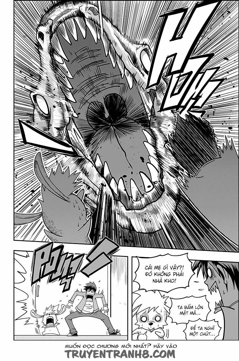 macrophage regulation chapter 8 11