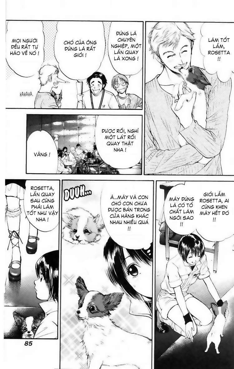 cô nàng yêu chó chapter 13 7