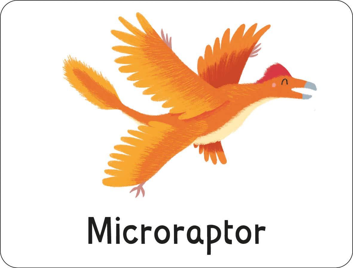 Sách ngoại văn: Lots To Spot Flashcards - Dinosaurs!