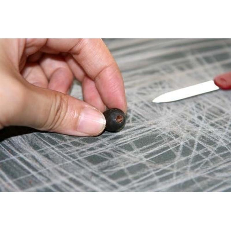 Hạt giống Sen Nhật mini