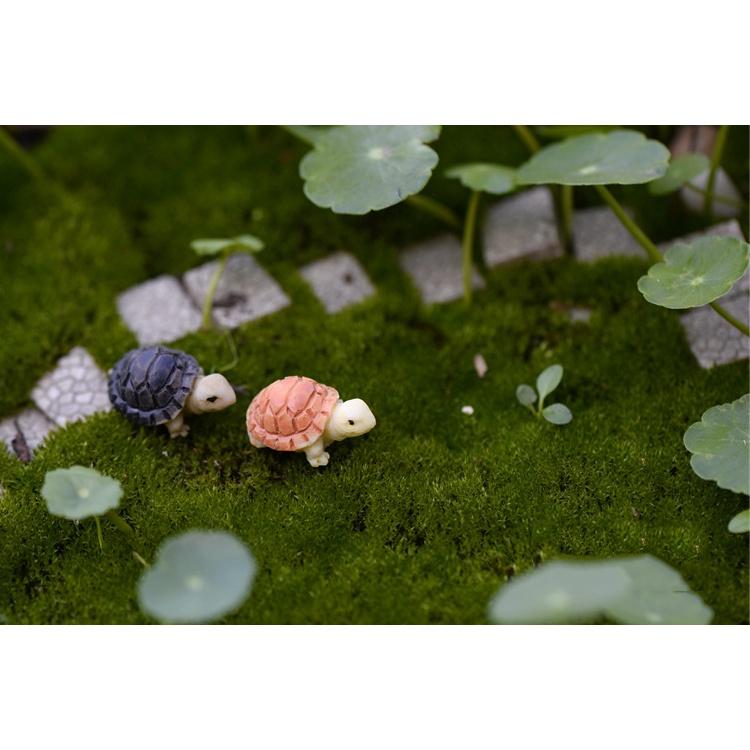 Mô hình rùa con trang trí tiểu cảnh, sân vườn, sen đá, terrarium