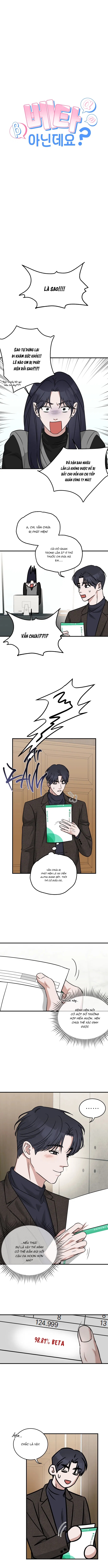 tôi không phải beta đâu nhé! chapter 3 6