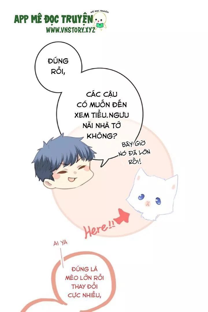 con tim rung động 2 chapter 78 21