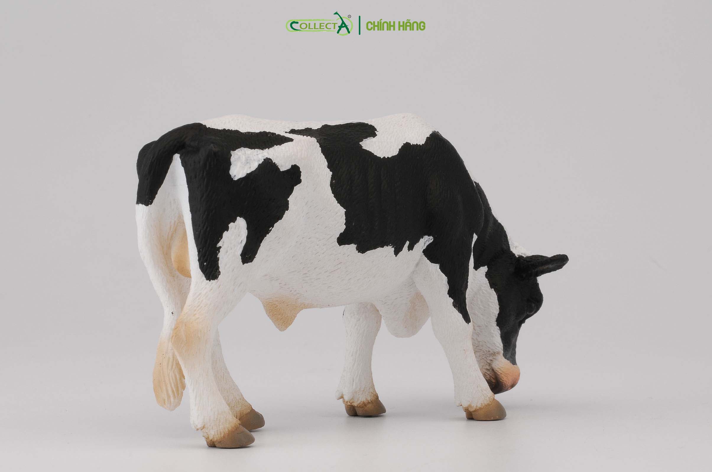 Mô hình thu nhỏ: Bò Hà Lan bố - Friesian Bull  , hiệu: CollectA, mã HS 9650060[88482] -  Chất liệu an toàn cho trẻ - Hàng chính hãng